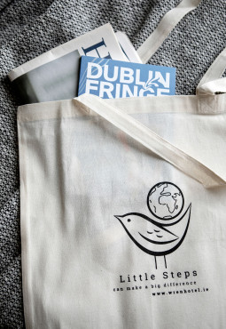 Dublin Fringe Festival