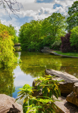St Stephen's Green