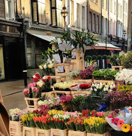 Grafton Street