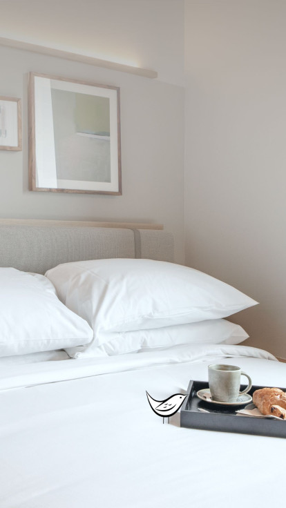 Cosy Nest 