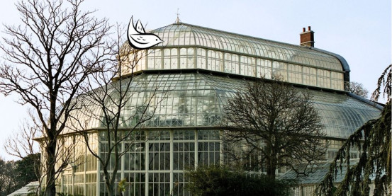 Dulbin Botanic Gardens