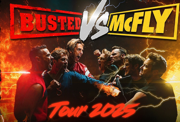 Busted vrs Mcfly Dublin 2025 | The Wren Urban Nest