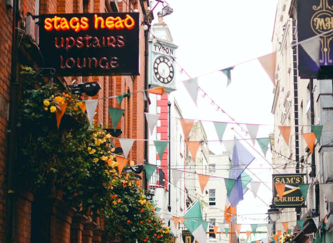 The Wren Urban Nest Dublin